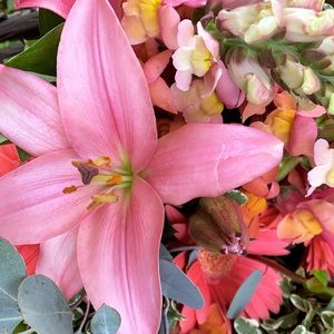 Meet your Posher, Lea